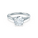 DAHLIA - Round Moissanite 950 Platinum Split Shank Solitaire Ring Engagement Ring Lily Arkwright