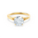 DAHLIA - Round Moissanite 18k Yellow Gold Split Shank Solitaire Ring Engagement Ring Lily Arkwright