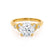 DELILAH - Round Lab Diamond 18k Yellow Gold Shoulder Set Ring Engagement Ring Lily Arkwright