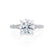 HONOR - Round Natural Diamond 18k White Gold Shoulder Set Ring Engagement Ring Lily Arkwright
