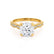 HONOR - Round Natural Diamond 18k Yellow Gold Shoulder Set Ring Engagement Ring Lily Arkwright