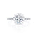 HOPE - Round Lab Diamond 950 Platinum Shoulder Set Ring Engagement Ring Lily Arkwright