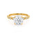 HOPE - Round Natural Diamond 18k Yellow Gold Shoulder Set Ring Engagement Ring Lily Arkwright