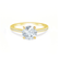 IRIS - Round Moissanite 18k Yellow Gold Petite Channel Set Ring Engagement Ring Lily Arkwright