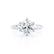 SERENA - Round Lab Diamond Platinum Solitaire Ring Engagement Ring Lily Arkwright