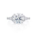 LILIANA - Round Lab Diamond 950 Platinum Shoulder Set Ring Engagement Ring Lily Arkwright