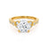 LILIANA - Round Lab Diamond 18k Yellow Gold Shoulder Set Ring Engagement Ring Lily Arkwright