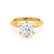 SERENA - Round Natural Diamond 18k Yellow Gold Solitaire Engagement Ring Lily Arkwright