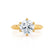 SERENA - Round Natural Diamond 18k Yellow Gold Solitaire Engagement Ring Lily Arkwright