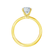 IRIS - Round Lab Diamond 18k Yellow Gold Petite Channel Set Ring Engagement Ring Lily Arkwright