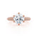 VICTORIA - Round Natural Diamond 18k Rose Gold Shoulder Set Ring Engagement Ring Lily Arkwright
