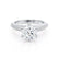 VICTORIA - Round Moissanite & Diamond 18k White Gold Shoulder Set Ring Engagement Ring Lily Arkwright