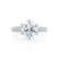 VICTORIA - Round Moissanite & Diamond 18k White Gold Shoulder Set Ring Engagement Ring Lily Arkwright