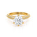 VICTORIA - Round Moissanite & Diamond 18k Yellow Gold Shoulder Set Ring Engagement Ring Lily Arkwright