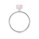 LIVELY - Chatham® Round Champagne Sapphire 950 Platinum Petite Hidden Halo Pavé Shoulder Set Ring Engagement Ring Lily Arkwright