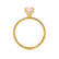 LIVELY - Chatham® Round Champagne Sapphire 18k Yellow Gold Petite Hidden Halo Pavé Shoulder Set Ring Engagement Ring Lily Arkwright