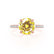 LIVELY Chatham® Round Yellow Sapphire 18k Rose Gold Petite Hidden Halo Pavé Shoulder Set Ring Engagement Ring Lily Arkwright