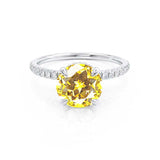LIVELY Chatham® Round Yellow Sapphire 950 Platinum Petite Hidden Halo Pavé Shoulder Set Ring Engagement Ring Lily Arkwright