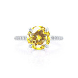 LIVELY Chatham® Round Yellow Sapphire 18k White Gold Petite Hidden Halo Pavé Shoulder Set Ring Engagement Ring Lily Arkwright