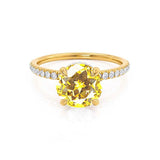 LIVELY Chatham® Round Yellow Sapphire 18k Yellow Gold Petite Hidden Halo Pavé Shoulder Set Ring Engagement Ring Lily Arkwright