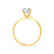 LOTTIE - Round Moissanite 18K Yellow Gold 4 Prong Tulip Solitaire Ring Engagement Ring Lily Arkwright