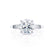 LOVETTA - Round & Baguette Lab Diamond 18k White Gold Trilogy Engagement Ring Lily Arkwright