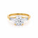 LOVETTA - Round & Baguette Lab Diamond 18k Yellow Gold Trilogy Engagement Ring Lily Arkwright