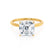 LULU - Asscher Moissanite 18k Yellow Gold Petite Solitaire Ring Engagement Ring Lily Arkwright