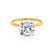 LULU - Cushion Lab Diamond 18k Yellow Gold Petite Solitaire Engagement Ring Lily Arkwright