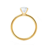 LULU - Elongated Cushion Lab Diamond 18k Yellow Gold Petite Solitaire Engagement Ring Lily Arkwright