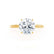 LULU - Round Moissanite 18k Yellow Gold Petite Solitaire Ring Engagement Ring Lily Arkwright
