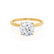 LULU - Round Moissanite 18k Yellow Gold Petite Solitaire Ring Engagement Ring Lily Arkwright
