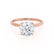 LULU - Round Lab Diamond 18k Rose Gold Petite Solitaire Engagement Ring Lily Arkwright