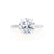 LULU - Round Lab Diamond 18k White Gold Petite Solitaire Ring Engagement Ring Lily Arkwright