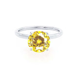 LULU - Round Yellow Sapphire 18k White Gold Petite Solitaire Ring Engagement Ring Lily Arkwright