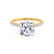 MACY - Cushion Lab Diamond 18k Yellow Gold Petite Shoulder Set Engagement Ring Lily Arkwright