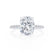 MACY - Elongated Cushion Lab Diamond 18k White Gold Petite Shoulder Set Engagement Ring Lily Arkwright