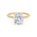 MACY - Elongated Cushion Lab Diamond 18k Yellow Gold Petite Shoulder Set Engagement Ring Lily Arkwright