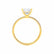 MACY - Princess Moissanite & Diamond 18k Yellow Gold Petite Pavé Shoulder Set Ring Engagement Ring Lily Arkwright