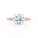 MACY - Round Forever One Moissanite & Diamond 18k Rose Gold Petite Pavé Shoulder Set Ring