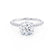 MACY - Round Lab Diamond 18k White Gold Petite Pavé Shoulder Set Ring Engagement Ring Lily Arkwright