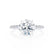 MACY - Round Lab Diamond 18k White Gold Petite Pavé Shoulder Set Ring Engagement Ring Lily Arkwright