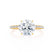 MACY - Round Moissanite & Diamond 18k Yellow Gold Petite Pavé Shoulder Set Ring Engagement Ring Lily Arkwright