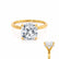 PARIS - Cushion Lab Diamond 18k Yellow Gold Hidden Halo Engagement Ring Lily Arkwright