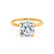 PARIS - Cushion Moissanite & Diamond 18k Yellow Gold Hidden Halo Engagement Ring Lily Arkwright