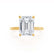 PARIS - Emerald Lab Diamond & Diamond 18k Yellow Gold Hidden Halo Solitaire Engagement Ring Lily Arkwright