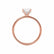 PARIS - Oval Moissanite & Diamond 18k Rose Gold Hidden Halo Engagement Ring Lily Arkwright