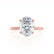PARIS - Oval Moissanite & Diamond 18k Rose Gold Hidden Halo Engagement Ring Lily Arkwright