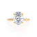 PARIS - Oval Moissanite & Diamond 18k Yellow Gold Hidden Halo Engagement Ring Lily Arkwright