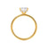 PARIS - Radiant Lab Diamond 18k Yellow Gold Hidden Halo Solitaire Engagement Ring Lily Arkwright